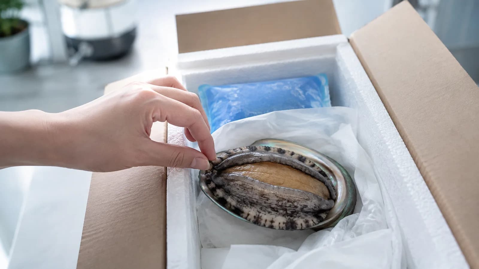도착한 전복, 며칠까지 괜찮을까요